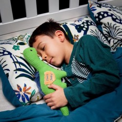 Plush Tooth Fairy Pillow for Little Boys and Girls About to Loose a Tooth (Dinosaur Danny) $41.47 Plush Figure Toys