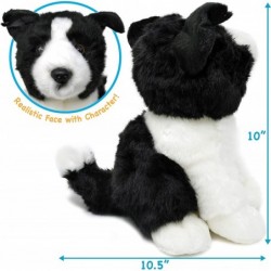 Borna The Border Collie | 11 Inch Stuffed Animal Plush | by Tiger Tale Toys $31.52 Stuffed Animals & Teddy Bears