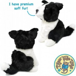 Borna The Border Collie | 11 Inch Stuffed Animal Plush | by Tiger Tale Toys $31.52 Stuffed Animals & Teddy Bears