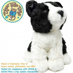 Borna The Border Collie | 11 Inch Stuffed Animal Plush | by Tiger Tale Toys $31.52 Stuffed Animals & Teddy Bears