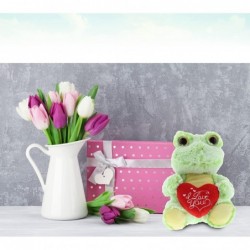 I Love You Sitting Frog Plush – Cute Stuffed Animal with Sweet Heart Message and Name Personalization for Valentines Annivers...