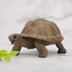 Animal Model Plastic Simulation Tortoise Toys Child-Friendly and Safe Children Gift Simulation Tortoise Toy Simulation Animal...