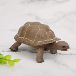 Animal Model Plastic Simulation Tortoise Toys Child-Friendly and Safe Children Gift Simulation Tortoise Toy Simulation Animal...