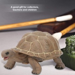 Animal Model Plastic Simulation Tortoise Toys Child-Friendly and Safe Children Gift Simulation Tortoise Toy Simulation Animal...