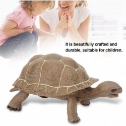 Animal Model Plastic Simulation Tortoise Toys Child-Friendly and Safe Children Gift Simulation Tortoise Toy Simulation Animal...