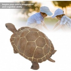 Animal Model Plastic Simulation Tortoise Toys Child-Friendly and Safe Children Gift Simulation Tortoise Toy Simulation Animal...