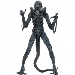 - Alien- 7" Scale Action Figures - Ultimate Warrior - (1986) Blue Alien $97.84 Action Figures