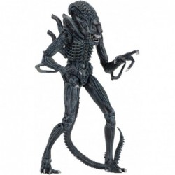 - Alien- 7" Scale Action Figures - Ultimate Warrior - (1986) Blue Alien $97.84 Action Figures