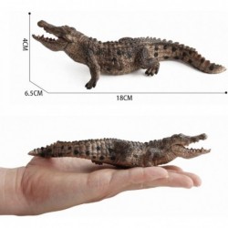 2 Pcs Simulated Crocodiles Model Figure Toy Realistic Alligator Figurines Collection Playset Science Educational Props $20.38...