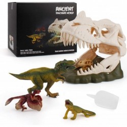 Dinosaur Skeleton Spray Model Playsets Tyrannosaurus rex Lizard Archaeopteryx Figure Big Dinosaur Skull Small Dinosaur Skull ...