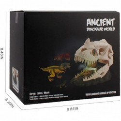 Dinosaur Skeleton Spray Model Playsets Tyrannosaurus rex Lizard Archaeopteryx Figure Big Dinosaur Skull Small Dinosaur Skull ...