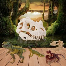 Dinosaur Skeleton Spray Model Playsets Tyrannosaurus rex Lizard Archaeopteryx Figure Big Dinosaur Skull Small Dinosaur Skull ...