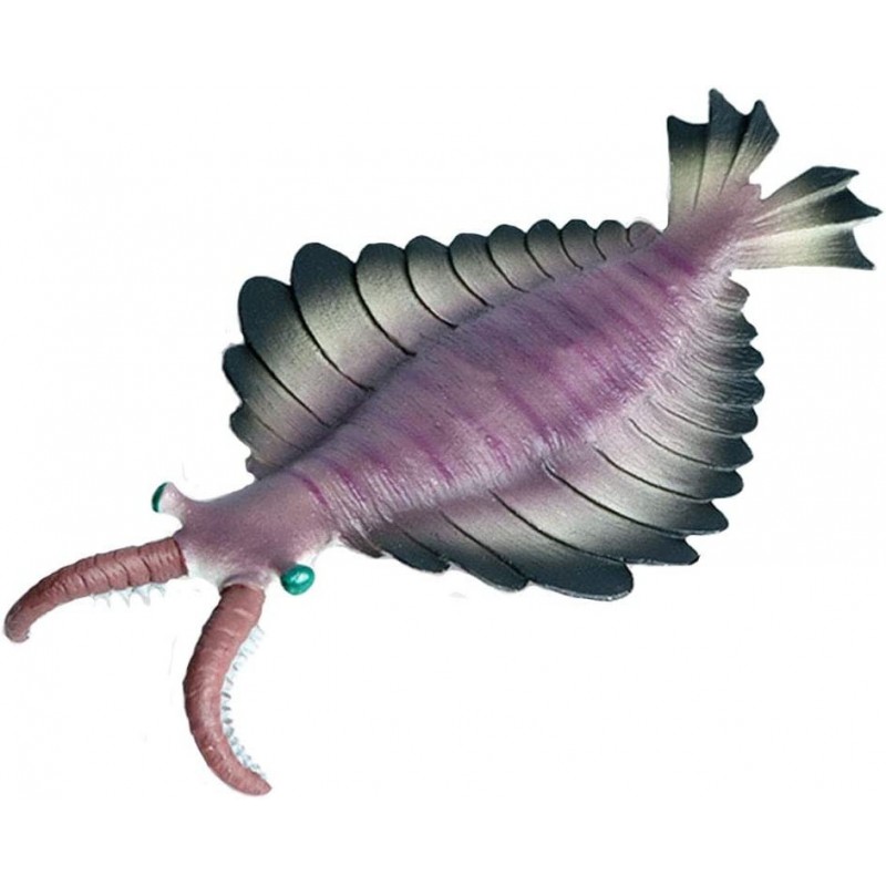 Realistic Animal Figures Anomalocaris Sea Animal Toy Science Project Cake Topper Early Educational Toys Birthday for Toddlers...