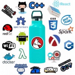 Programmer's Software Programming Sticker 50Pcs Waterproof Removable Cute Beautiful Stylish Teen Stickers Suitable for Boys a...