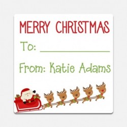 Personalized Kid's Stickers - Set of 20 Reindeer Labels (GT42) $16.87 Kids' Stickers