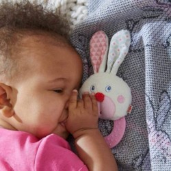 Chomp Champ Bunny Teether - with Crinkle Ears and Plastic Teething Ring for Babies from Birth and Up $16.21 Baby Teether Toys