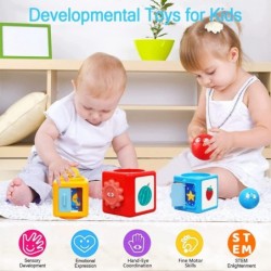 Toddler Stacking Sorting Toys 9-12 Months Montessori Toys for Toddlers 1 2 3 Year Old Baby Kids Educational Building Blocks B...