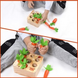 Carrot Harvest - Wooden Educational Toys for Boys and Girls - Preschool Learning Gift - Toddlers Wood Game – Shape Sorting To...