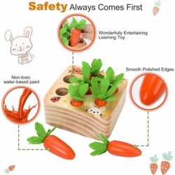 Carrot Harvest - Wooden Educational Toys for Boys and Girls - Preschool Learning Gift - Toddlers Wood Game – Shape Sorting To...