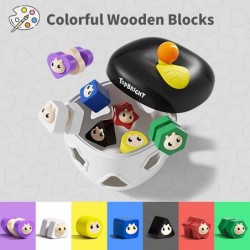 Montessori Wooden Educational Activity Toys for 1 2 3 Year Old Baby Boys Girls Color Recognition Shape Sorting Toys for Toddl...