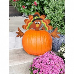 Halloween Pumpkin Decorating Kit (Turkey Set) 4 Reusable Metal Accessories for Fall Pumpkin Face Decorating with Turkey Body ...