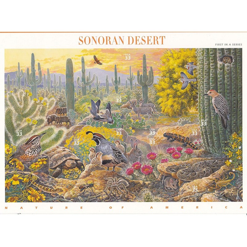 Postage Stamp US Scott 3293 Sonoran Desert Full Sheet of Ten 33 Cent Stamps $17.50 Collectible Postage Stamps