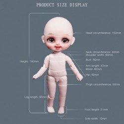 6.3 Inch 1/8 Scale Pocket Doll Series Ball Jointed Doll with 28 Joints for The Children 8 Age and Above(Doulong) $42.54 Dolls