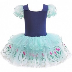 Baby Girls Princess Ballet Dress Short Sleeve Leotards Skirted Tutu Dancewear Halloween Christmas Party Fancy Costume $43.66 ...