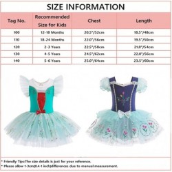 Baby Girls Princess Ballet Dress Short Sleeve Leotards Skirted Tutu Dancewear Halloween Christmas Party Fancy Costume $43.66 ...