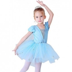 Baby Girls Princess Ballet Dress Short Sleeve Leotards Skirted Tutu Dancewear Halloween Christmas Party Fancy Costume $21.87 ...