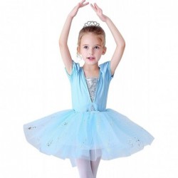 Baby Girls Princess Ballet Dress Short Sleeve Leotards Skirted Tutu Dancewear Halloween Christmas Party Fancy Costume $21.87 ...