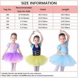 Baby Girls Princess Ballet Dress Short Sleeve Leotards Skirted Tutu Dancewear Halloween Christmas Party Fancy Costume $21.87 ...