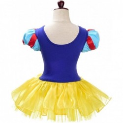 Ballerina Outfits Princess Ballet Tutu Dress Costume Dancewear with Hair Hoop for Toddler Little Girls $45.21 Kids' Costumes