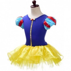 Ballerina Outfits Princess Ballet Tutu Dress Costume Dancewear with Hair Hoop for Toddler Little Girls $45.21 Kids' Costumes