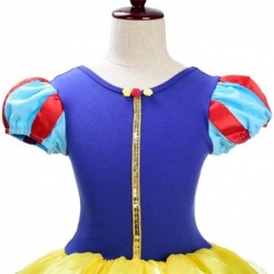 Ballerina Outfits Princess Ballet Tutu Dress Costume Dancewear with Hair Hoop for Toddler Little Girls $45.21 Kids' Costumes