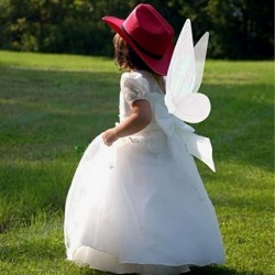 Fairy Wings for Girls Halloween Costumes Butterfly Fairy Wings for Fairy Costumes Sparkle Fairy Princess Wings Party Favor $2...