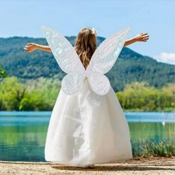 Fairy Wings for Girls Halloween Costumes Butterfly Fairy Wings for Fairy Costumes Sparkle Fairy Princess Wings Party Favor $2...