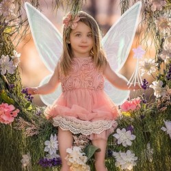 Fairy Wings for Girls Halloween Costumes Butterfly Fairy Wings for Fairy Costumes Sparkle Fairy Princess Wings Party Favor $2...